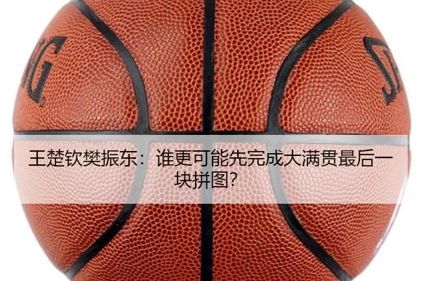 王楚钦樊振东：谁更可能先完成大满贯最后一块拼图？